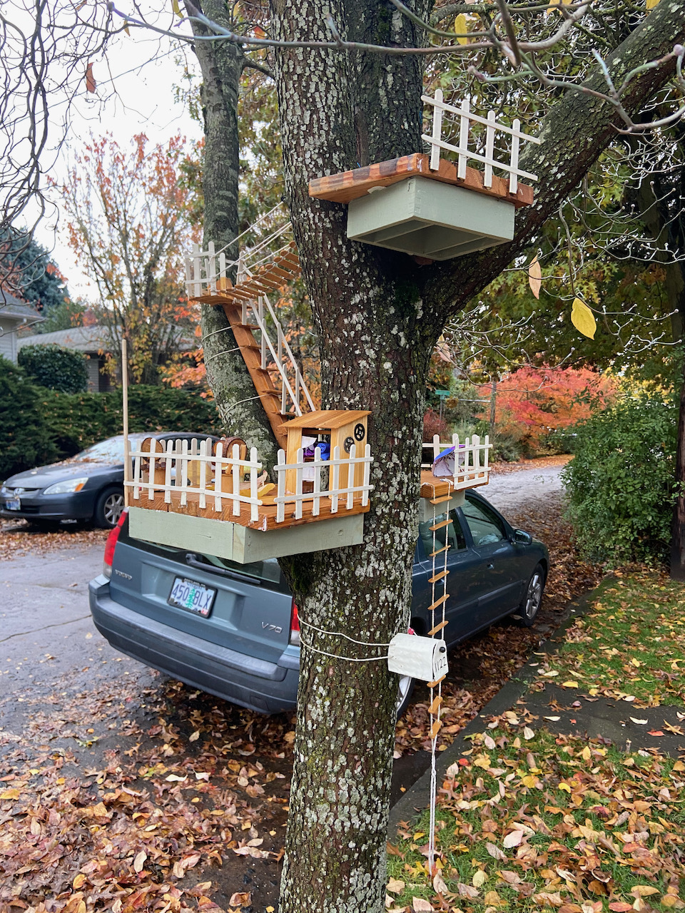 Tree House for Fairies.  Or Squirrels.  North Side
